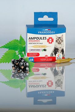 Francodex Joint Health ampulky kočka,kotě 18x1ml