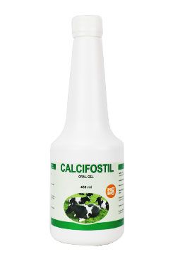 Calcifostil Oral Gel 480ml