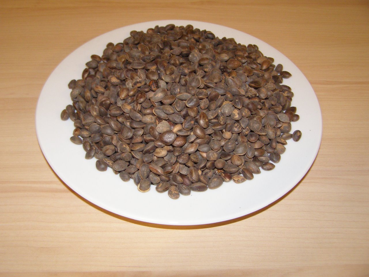 Manitoba Cedr 1 kg