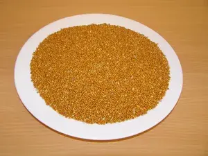 LLC West-Dale Proso červené 5 kg