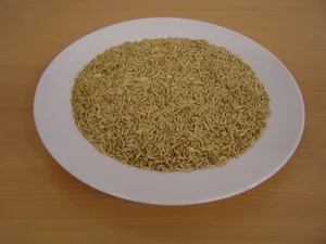 LLC West-Dale Oves nahý 5 kg