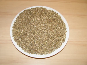 LLC West-Dale Semenec 20 kg