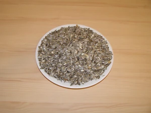 LLC West-Dale Slunečnice žíhaná 20 kg