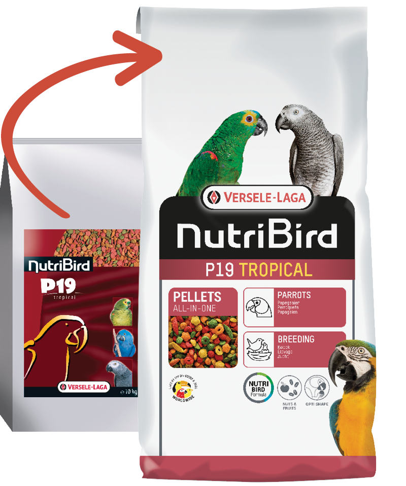 VERSELE-LAGA Granule Nutribird P19 Tropical 10 kg pro chovnou sezónu