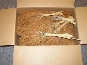 LECODE H.K. INTLĹ Senegalské proso klasy červené 15 kg