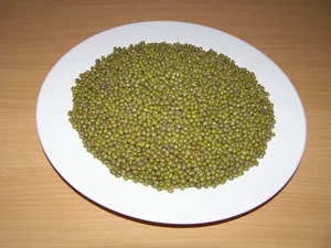 LLC West-Dale Mungo 3 kg