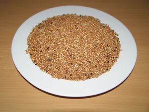 LLC West-Dale Čirok červený 25 kg