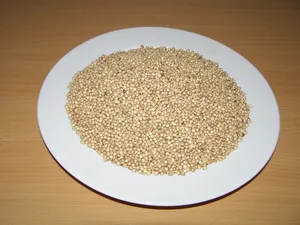 LLC West-Dale Čirok bílý 25 kg
