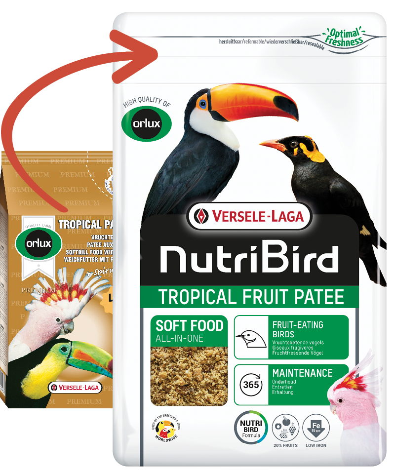 VERSELE-LAGA NutriBird TROPICAL FRUIT PATEE 1 kg kompletní krmivo s medem a čerstvým ovocem