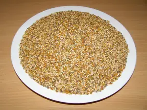 LLC West-Dale Proso MIX zelené, červené, žluté, bílé, černé 25 kg