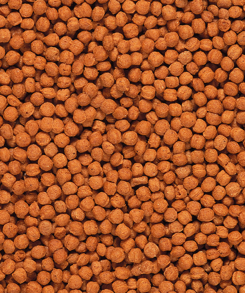 VERSELE-LAGA Granule NutriBird T16 Original 1 kg pro velké ovocnožravé druhy páků , turaka a tukany