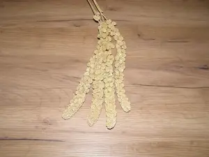 LECODE H.K. INTLĹ Senegalské proso klasy žluté 100 g