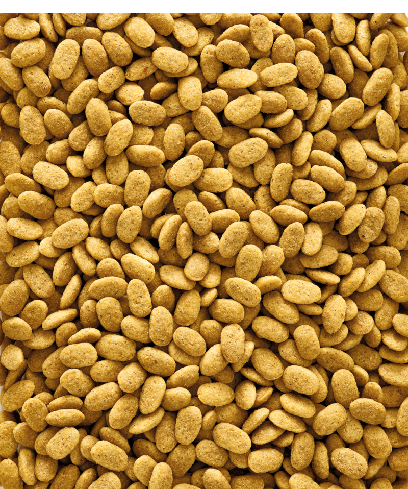 VERSELE-LAGA Granule NutriBird P15 Original 5 kg mimo chovnou sezónu