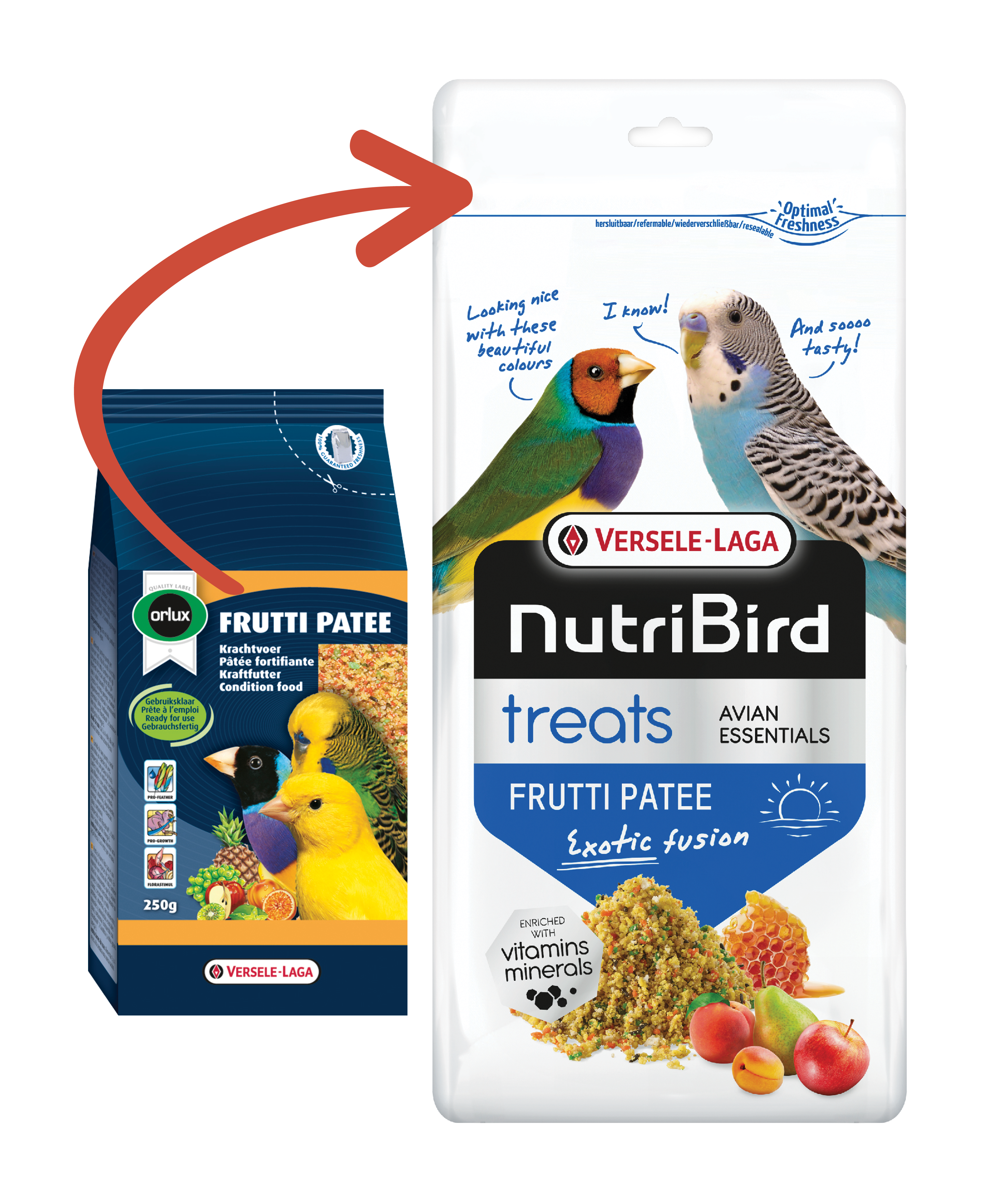 VERSELE-LAGA NutriBird Treats FRUTTI PATEE vaječné krmivo vlhčené s medem a kousky ovoce pro kanáry, exotické ptactvo a malé papoušky 250 g