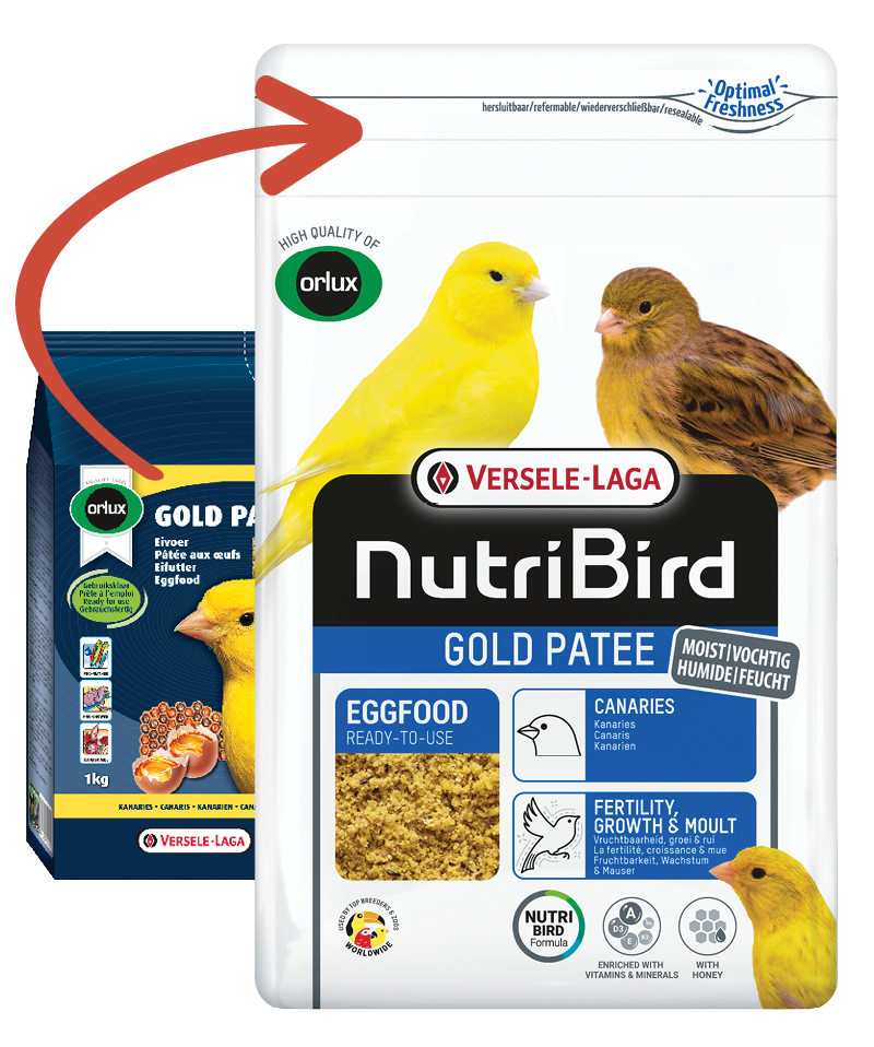 VERSELE-LAGA NutriBird GOLD PATEE vaječné krmivo vlhčené s medem pro kanáry 1 Kg