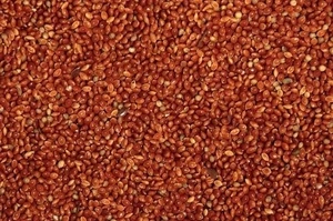 LECODE H.K. INTLĹ Senegalské proso mlácené červené 25 kg