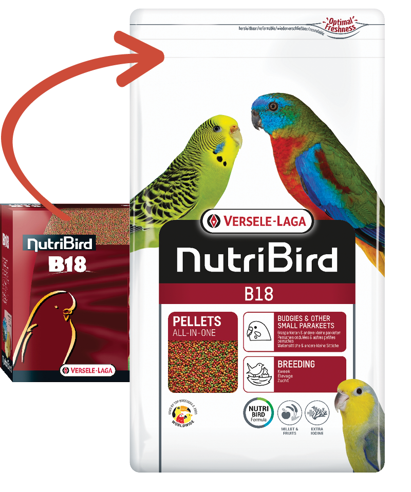 VERSELE-LAGA Granule NutriBird B18 3 kg při přepeřování a zvýšených nároků v chovné sezóně pro andulky, agapornisy, neofémy a malé papoušky