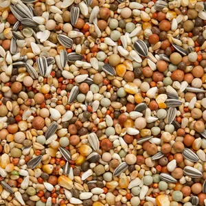 Deli Nature Bayres 49 Olympia směs zrnin k máčení, vaření a klíčení pro holuby, středně velké a velké papoušky 5 kg